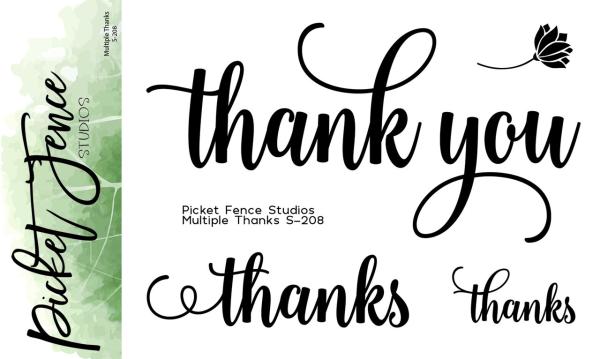 Picket Fence Studios - Stempelset "Multiple Thanks" Clear stamps