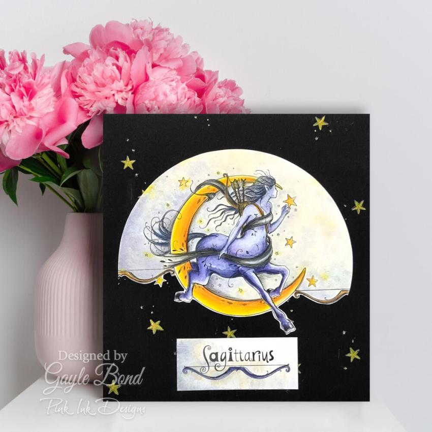 Pink Ink Designs - Stempelset "Sagittarius "Knowledge Seeker" Clear Stamps