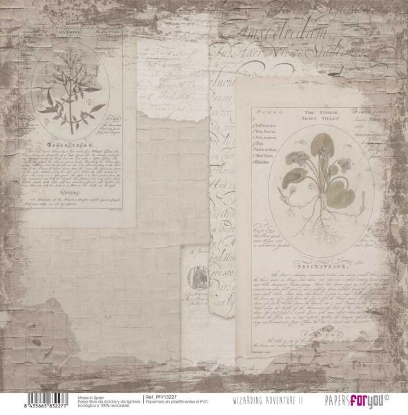 Papers For You - Leinwandpapier "Wizarding Adventure II" Paper Pack Canvas 30,5x31 cm - 8 Bogen 