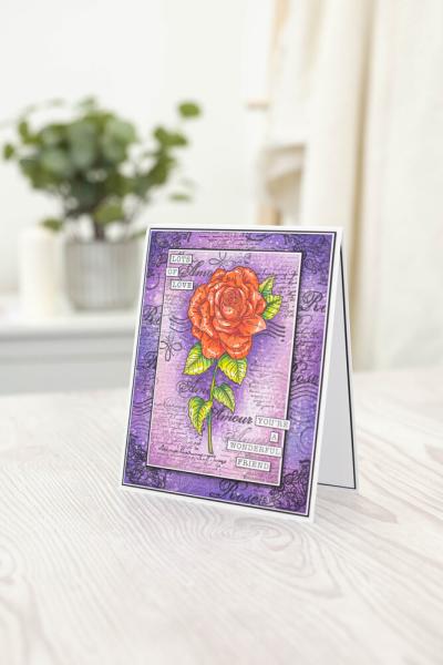 Crafters Companion - Stempel & Schablone "Romantic Rose" Clear Stamps & Stencil