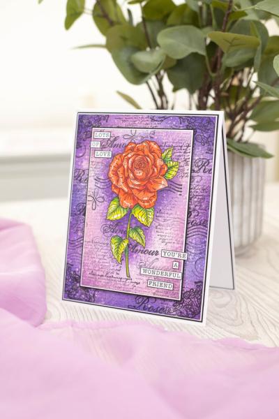 Crafters Companion - Stempel & Schablone "Romantic Rose" Clear Stamps & Stencil