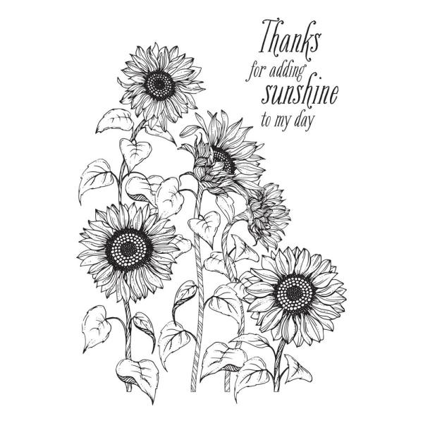 Spellbinders - Buchdrucktechnik "Sunflower Field" Press Plate