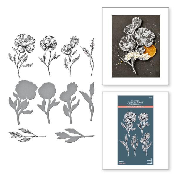 Spellbinders - Press Plate & Dies "Flower Stems"