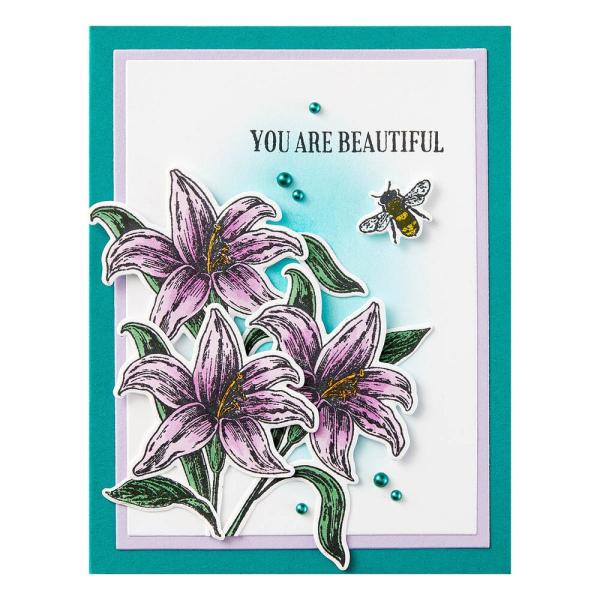 Spellbinders - Stanzschablone "Beautiful Blooms" Dies Ranger by Simon Hurley