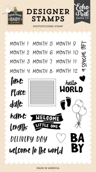 Echo Park - Stempelset "Baby Stats Clear" Clear Stamps