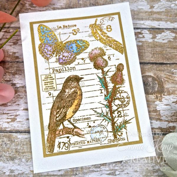 Woodware - Stempel "Nature Page" Clear Stamps Design by Francoise Read