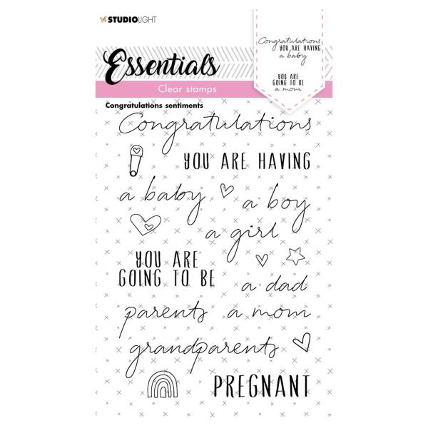 Studio Light - Stempelset "Congratulations sentiments" Clear Stamps