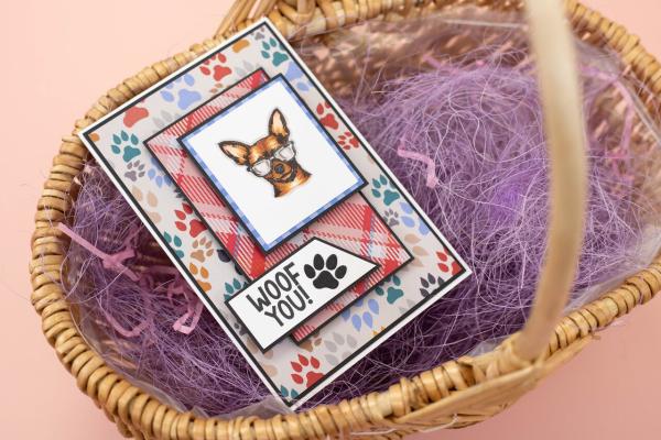 Crafters Companion - Stempelset "Top Dog" Clear Stamps