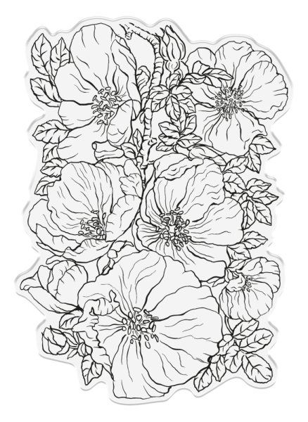 Crafters Companion - Stempel "Wild Roses" Clear Stamps Design by Sheena Douglass