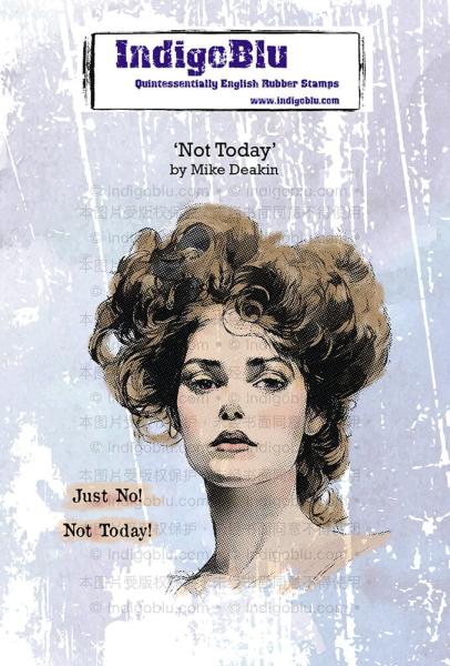 IndigoBlu - Gummistempel Set "Not Today" A6 Rubber Stamp