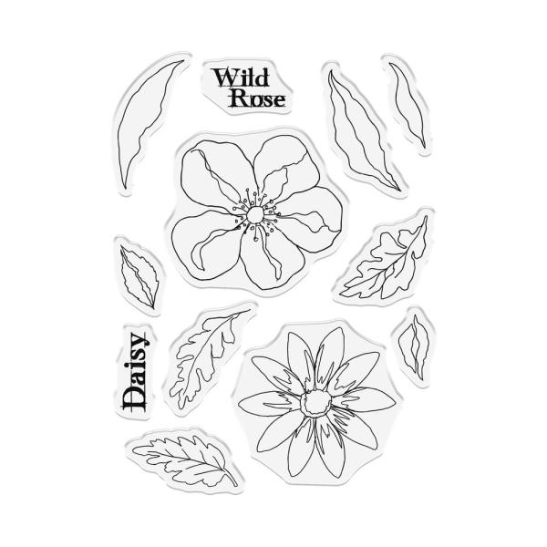 Crafters Companion - Stempelset "Daisy and Wild Rose" Clear Stamps Design by Sheena Douglass