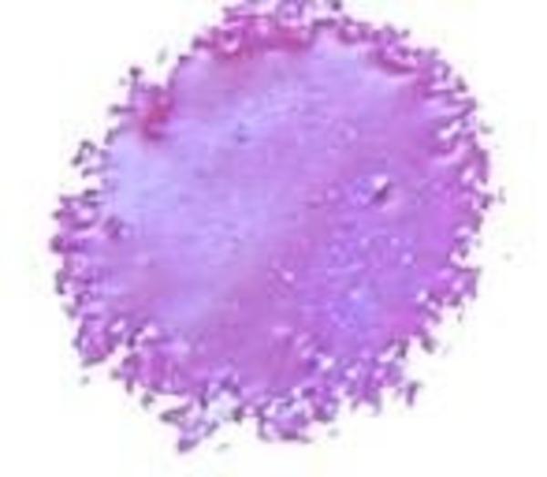 Cosmic Shimmer - Embossingpulver "Raspberry Violet" Blaze Embossing Powder 20ml