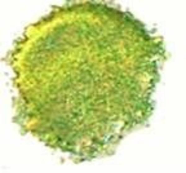 Cosmic Shimmer - Embossingpulver "Tropic Moss" Blaze Embossing Powder 20ml
