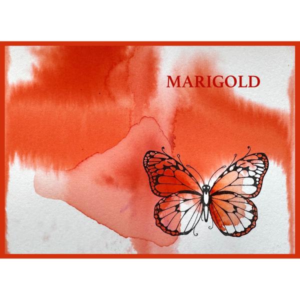 Pink Ink Designs - Flüssige Aquarellfarbe "Marigold" Ink It 20ml