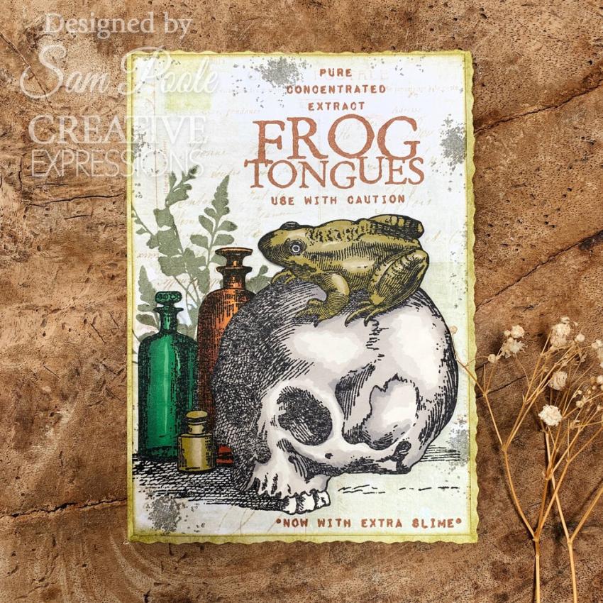 Creative Expressions - Stempelset "Halloween Frogs" Clear Stamps 6x8 Inch Design by Sam Poole