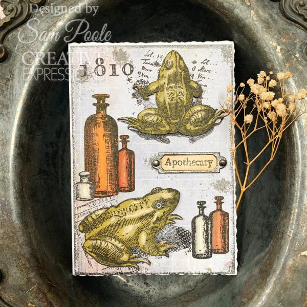 Creative Expressions - Stempelset "Witches Brew" Clear Stamps 6x8 Inch Design by Sam Poole