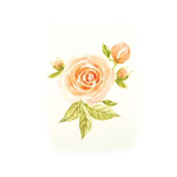 Crafters Companion - Stempelset "Radiant Rose" Clear Stamps