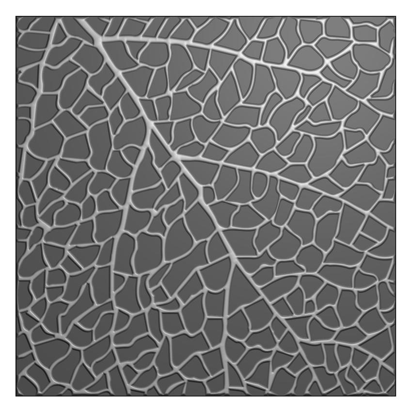 Nellie Snellen - Prägefolder "Leaf Grain" 3D Embossing Folder 