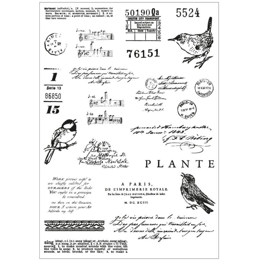 Sizzix - Stanzschablone & Stempelset "Bird Song" Framelits Craft Dies & Clear Stamps by 49 and Market