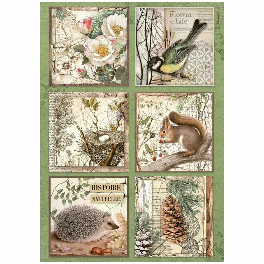 Stamperia - Decopatch Papier "6 Cards" Decoupage A4 - 6 Bogen  