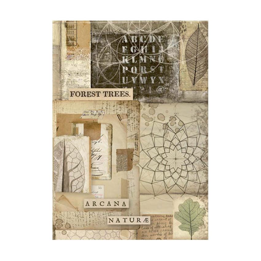 Stamperia - Decopatch Papier "Backgrounds" Decoupage A6 - 8 Bogen  