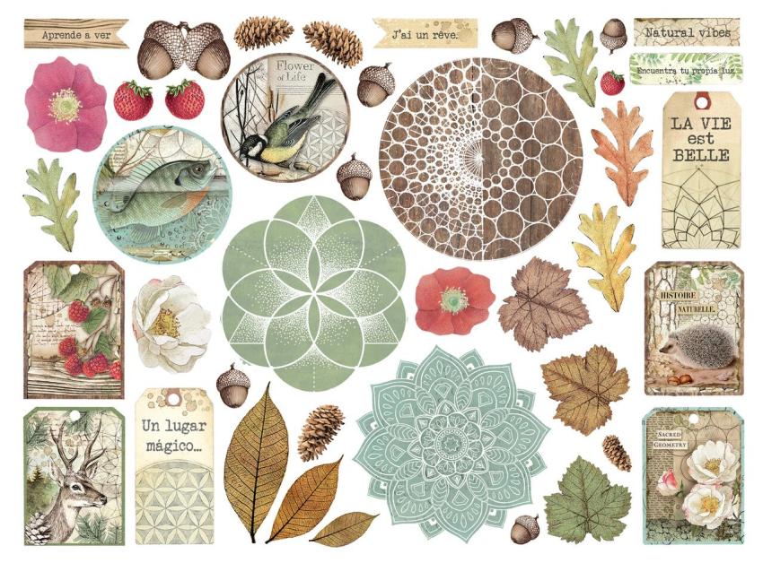 Stamperia - Stanzteile "Forest" Die Cuts