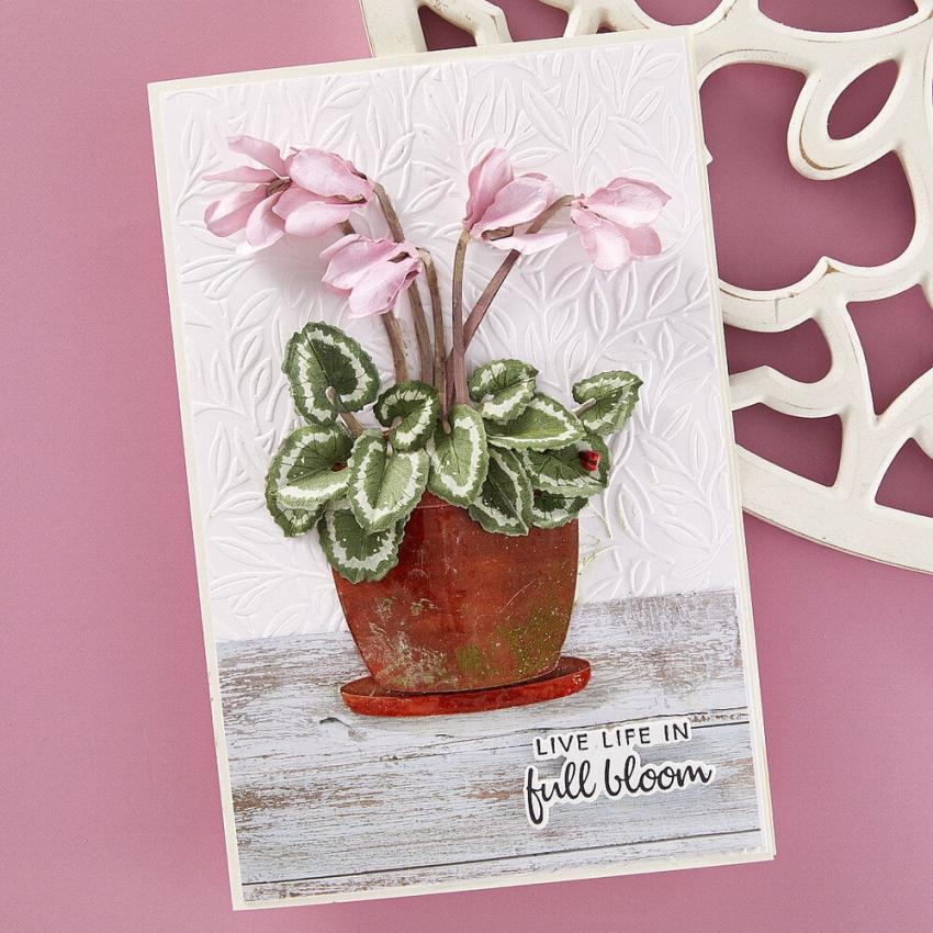 Spellbinders - Stanzschablone "Cyclamen" Dies