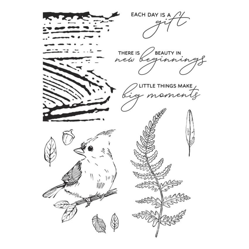 Spellbinders - Stempelset "Woodland Tales Sentiments" Clear Stamps