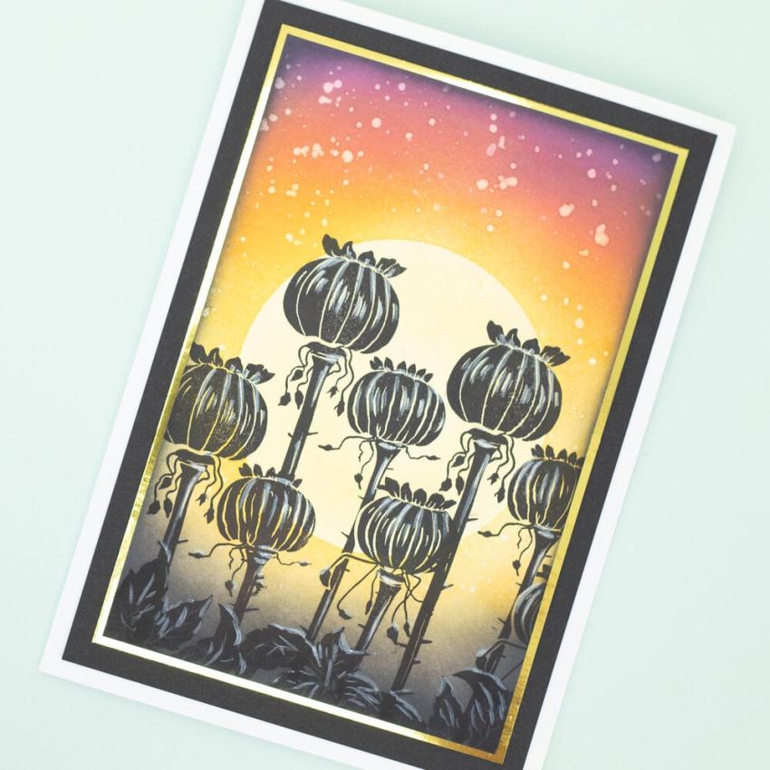 Crafters Companion - Stempelset "Poppy Pods" Clear Stamps Design by Sheena Douglass