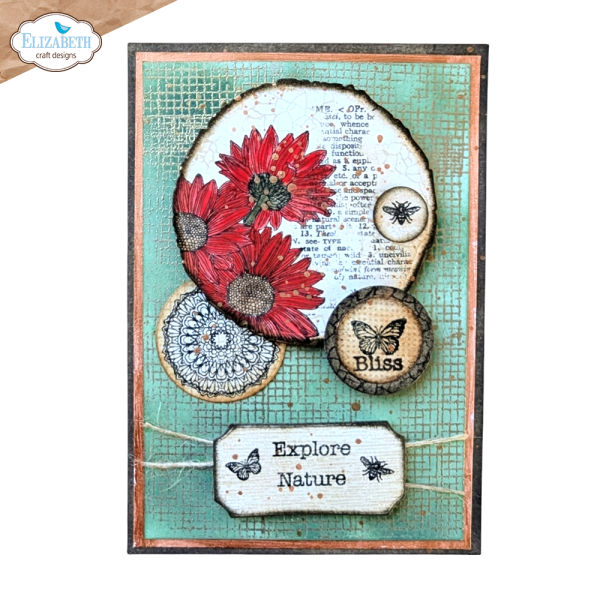 Elizabeth Craft Designs - Stempelset "Playful Textures" Clear Stamps