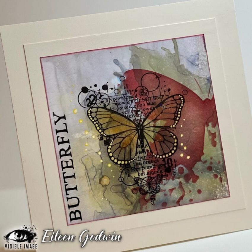 Visible Image - Stempelset A6 "Antisocial Butterfly" Clear Stamps