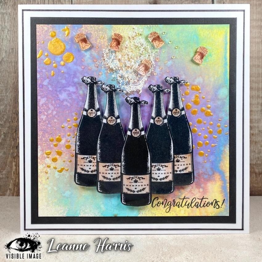 Visible Image - Stempelset A6 "Anyone For Bubbles" Clear Stamps