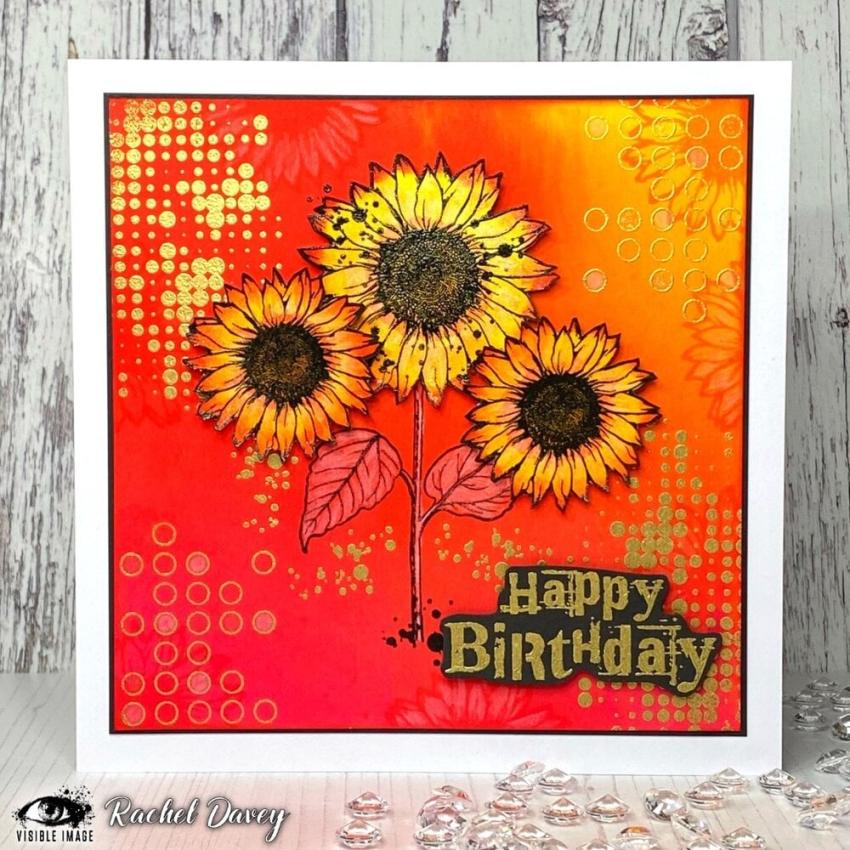 Visible Image - Stempelset A6 "Birthday Wishes" Clear Stamps