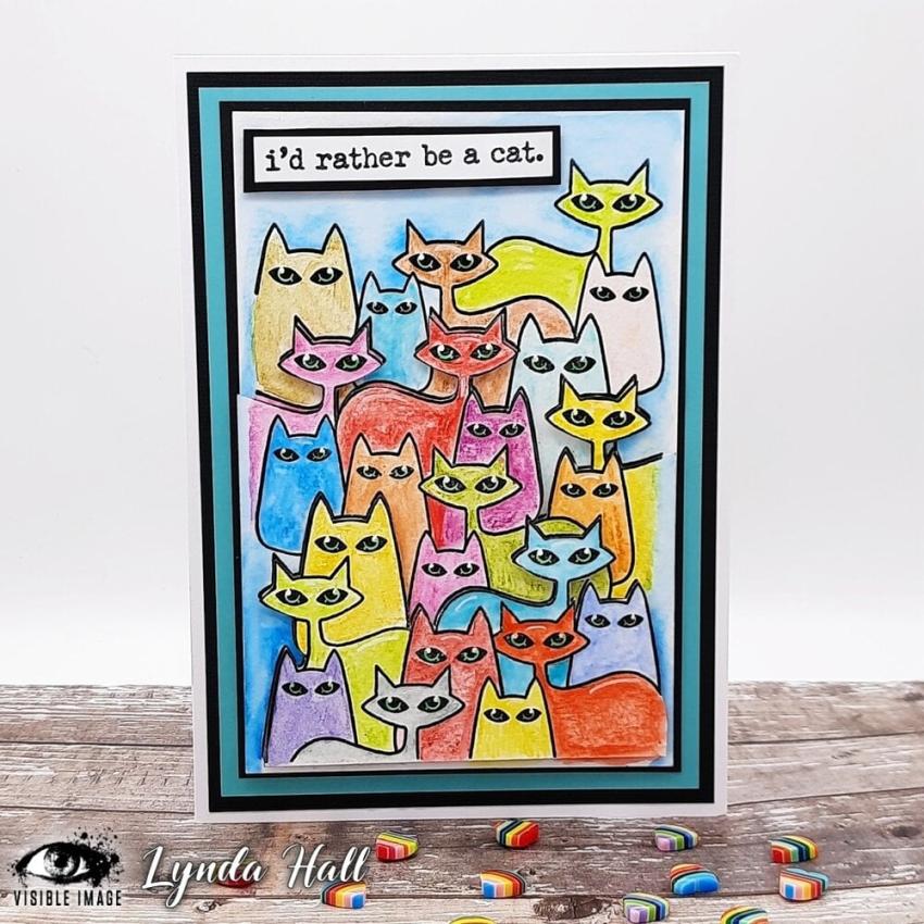 Visible Image - Stempelset A6 "Cat-tastic Background" Clear Stamps