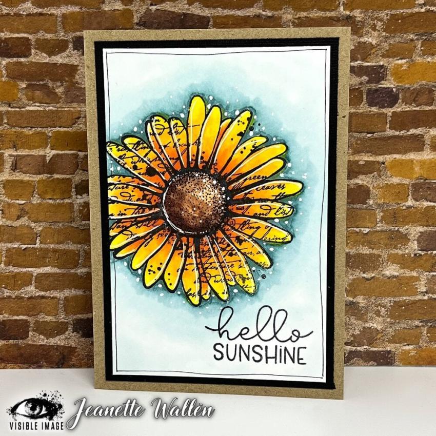 Visible Image - Stempelset A6 "Daisy Grunge" Clear Stamps