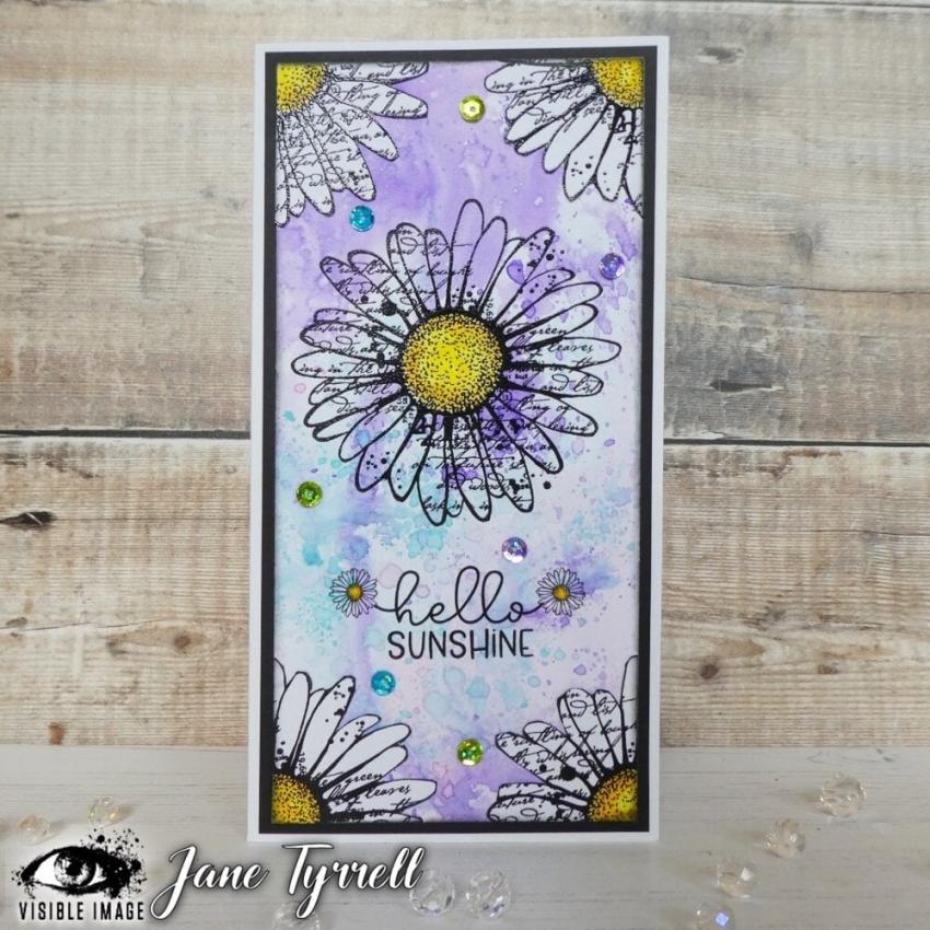 Visible Image - Stempelset A6 "Daisy Grunge" Clear Stamps