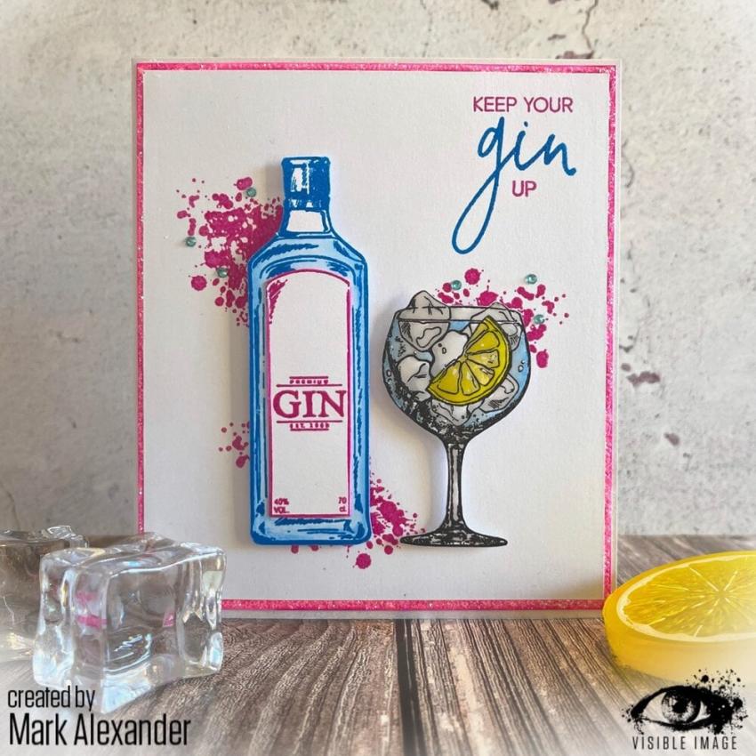 Visible Image - Stempelset A6 "Keep Your Gin Up" Clear Stamps