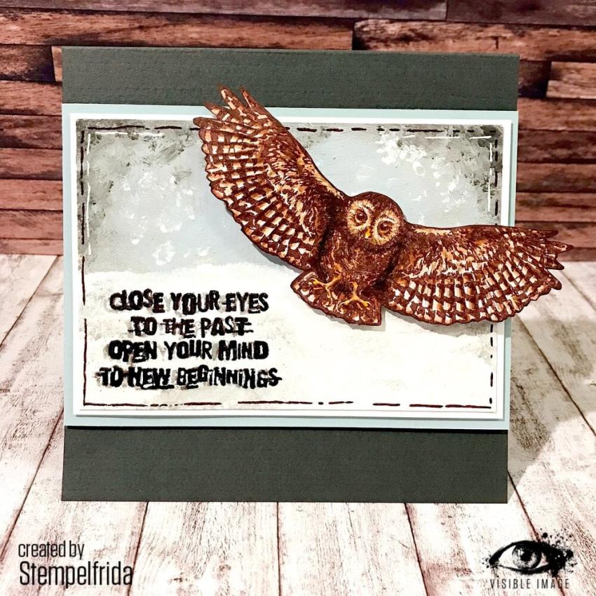 Visible Image - Stempelset A6 "Night Owl" Clear Stamps