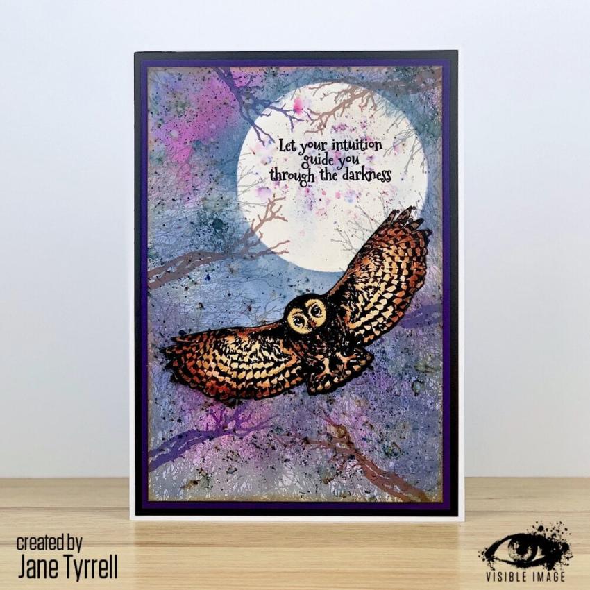 Visible Image - Stempelset A6 "Night Owl" Clear Stamps