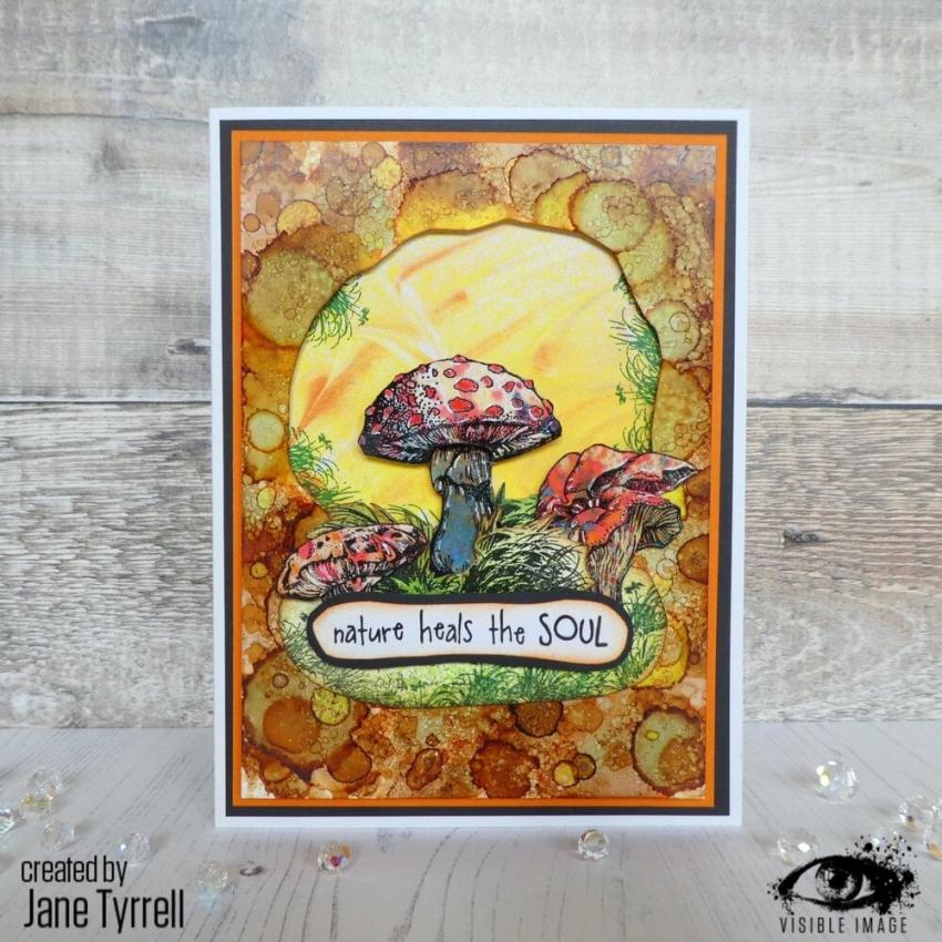 Visible Image - Stempelset A6 "Totally Toadstools" Clear Stamps