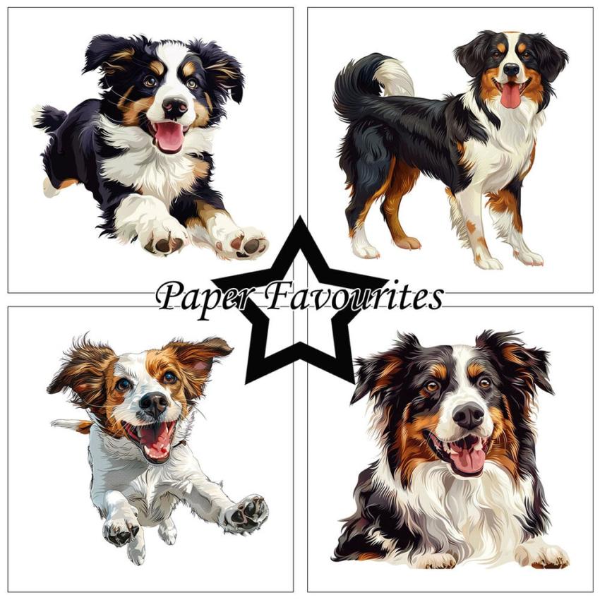 Paper Favourites - Designpapier "Farmdogs" Paper Pack 6x6 Inch - 24 Bogen