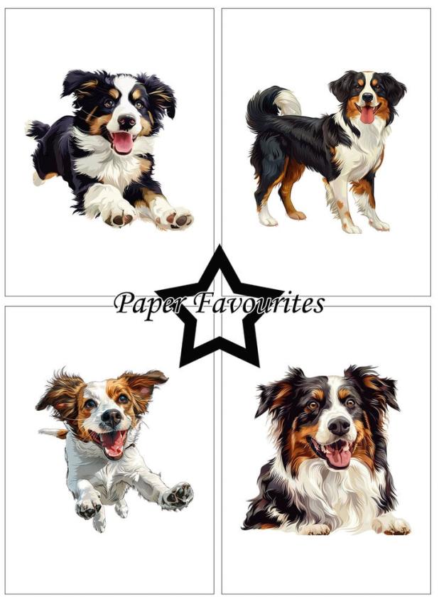 Paper Favourites - Designpapier "Farmdogs" Paper Pack A6 - 24 Bogen