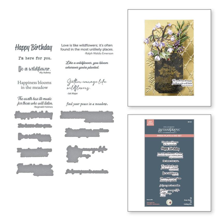 Spellbinders - Buchdrucktechnik "Through the Meadow Sentiments" BetterPress Plate & Dies