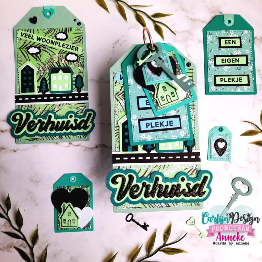 Carlijn Design - Stempelset "Verhuisd 2 " Clear Stamp 