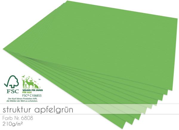 Cardstock "Struktur" 12"x12"  210g/m² (30,5 x 30,5cm) in struktur apfelgrün