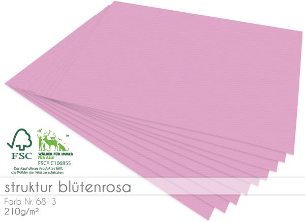 Cardstock "Struktur" 12"x12"  210g/m² (30,5 x 30,5cm) in struktur blütenrosa