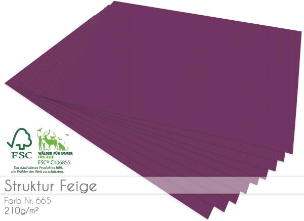 Cardstock "Struktur" - Bastelpapier 210g/m² DIN A4 in struktur feige